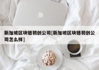 新加坡区块链初创公司[新加坡区块链初创公司怎么样]